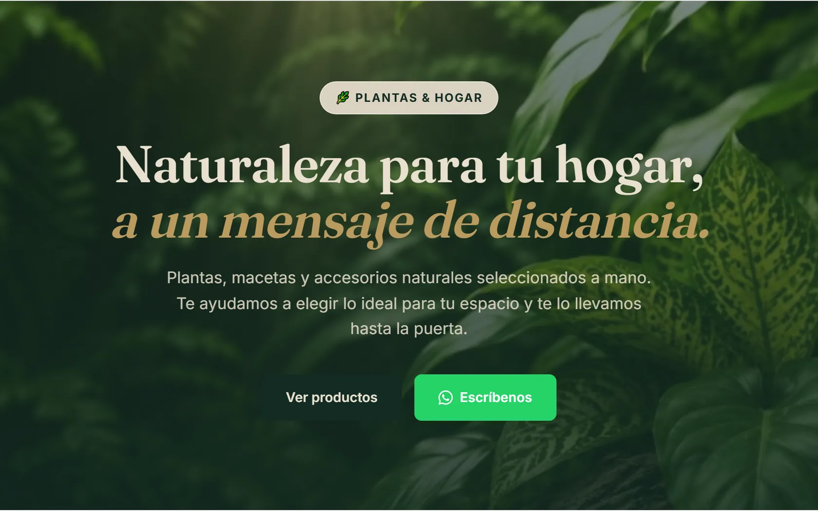 Vista previa del Hero de la Plantilla 1 — Natural